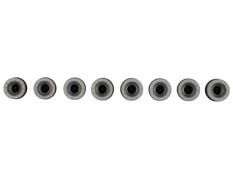 Ford Racing M14 x 1.5 Black Lug Nut - Set of 8
