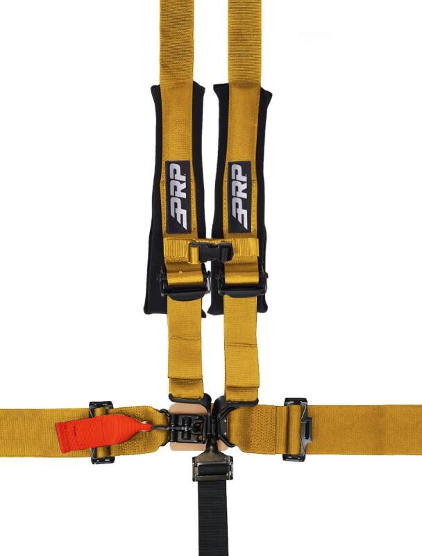 PRP 5.2 Harness - Gold