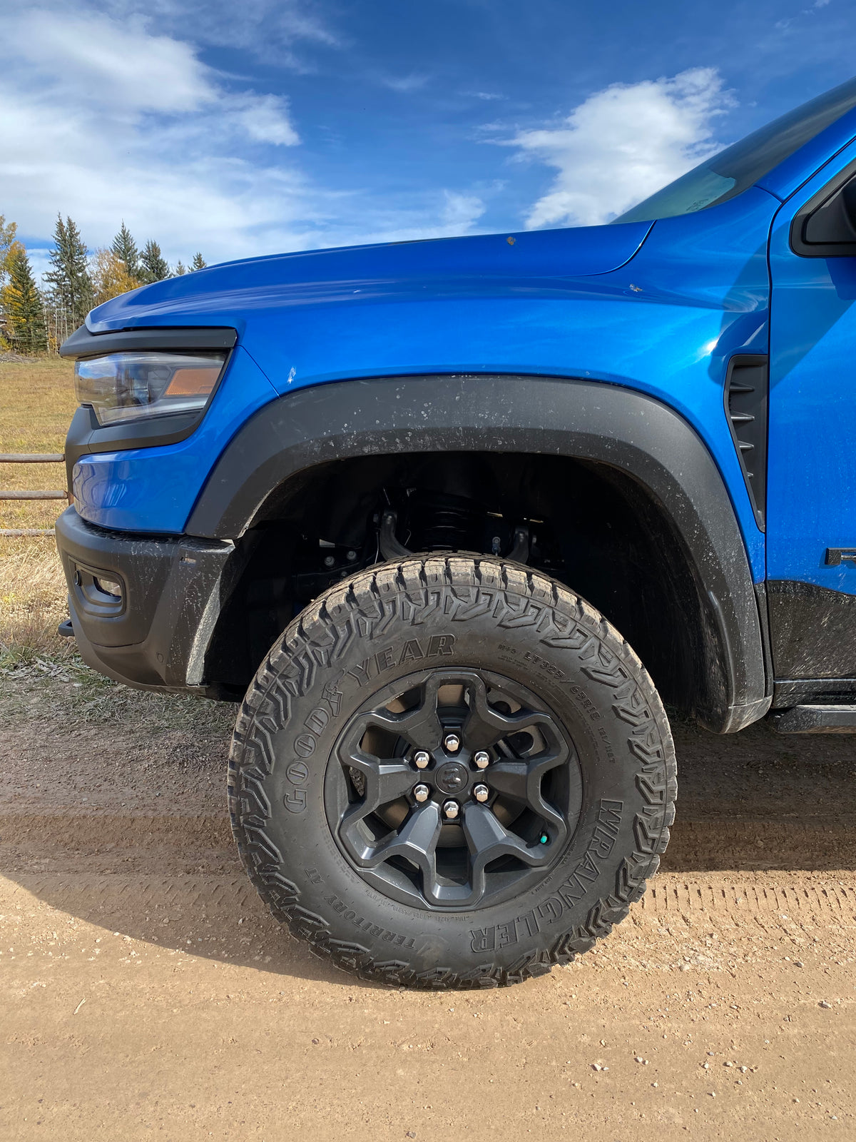 Geiser Off-Road Ram TRX/RHO progressive springs