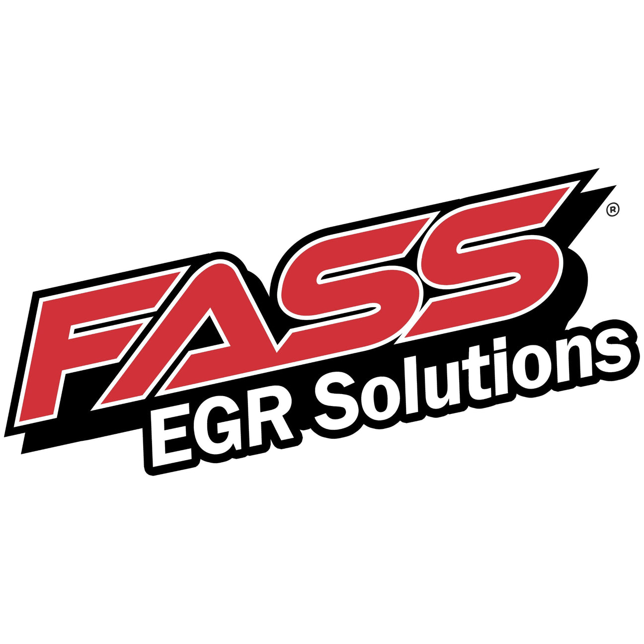 FASS EGR Solutions