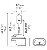 Hella Bulb 889 12V 27W Pgj13 T325