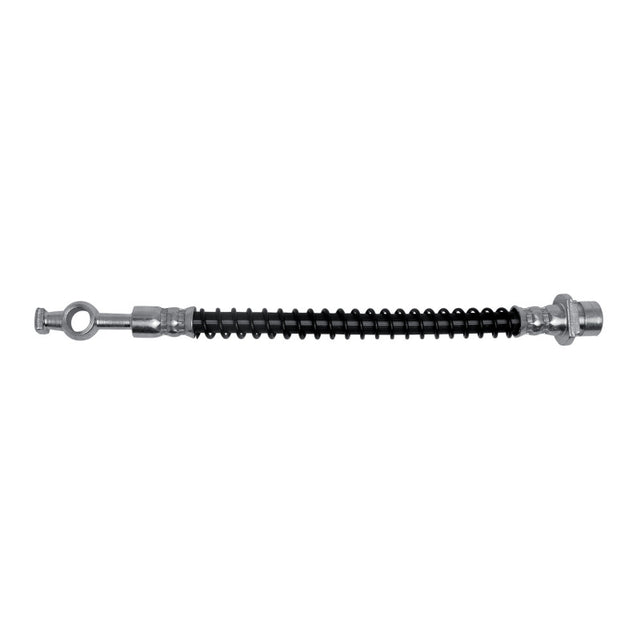 Photo - Primary