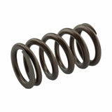 Industrial Injection 95LB Single Valve Spring Set