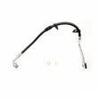 Photo - Primary