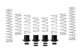 Eibach 18-21 Polaris RZR XP Turbo Pro-UTV Stage 2 Performance Spring System (Set of 8 Springs)