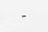 Wilwood bolt 1/4-20X.50LG shcs alloy chrome