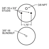 Firestone Ride-Rite Replacement Air Helper Spring Rear 267CZ 1.5 (W217607703)