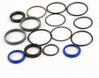 Seal Kits - Double-Ended Steering Cylinder Seal Kits