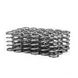XDP HD High Boost Valve Spring Set XD390