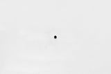 Wilwood bolt 10-32X.19 LG (3/16) set screw cup point black