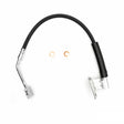 Photo - Primary
