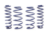 H&R 19-25 Toyota RAV4 (not Incl. Hybrid) Adventure Raising Spring
