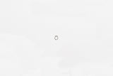 Wilwood retaining ring external SH-25 black phospate