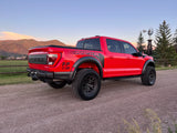 Geiser Off-Road Gen 3 Ford Raptor +1.5 progressive rear springs
