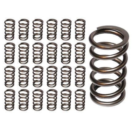 Hamilton Cams Valve Springs 07-S-003