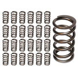 Hamilton Cams Valve Springs 07-S-003